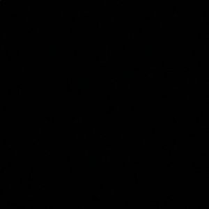 Meet your Posher, Kiley